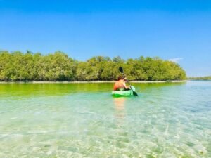 Wisata Fotogenik Mangrove National Park Abu Dhabi